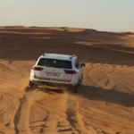 dubai desert ride on a morning desert safari