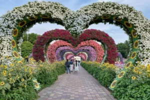 Miracle Garden And Global Village Tour