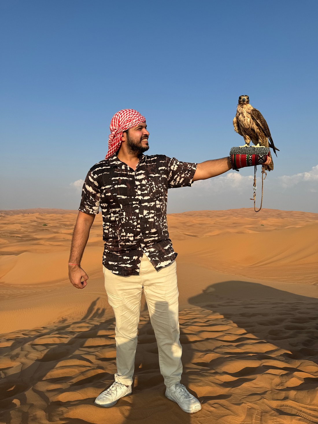 falcon in middle of the desert on a dubai desert safari