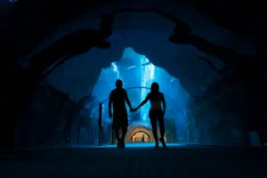 Dubai: Burj Khalifa (124/5) & Aquarium Tour + Transfer