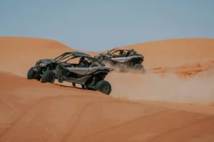 2-Seater Buggy with Evening Desert Safari